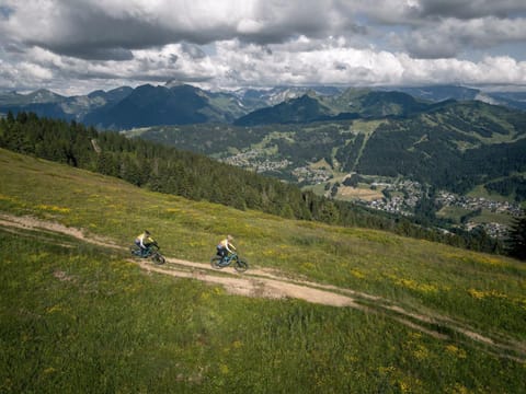 Appartement spacieux - 4 chambres, Wi-Fi, garage, Les Gets - FR-1-671-269 Apartment in Les Gets