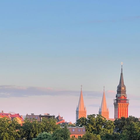 View (from property/room)