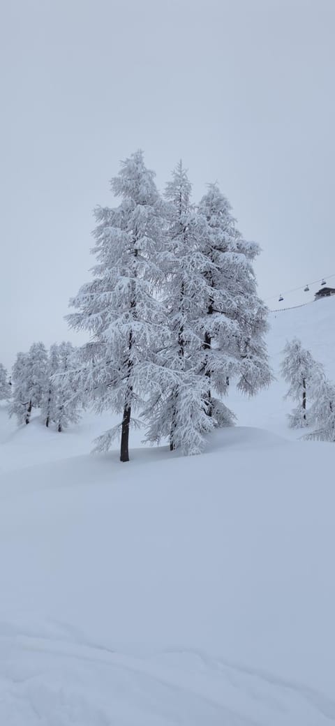 Natural landscape, Winter