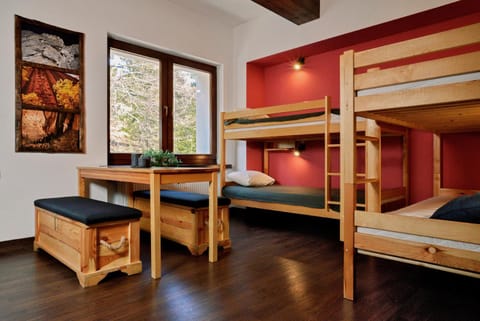 Bed, Photo of the whole room, bunk bed