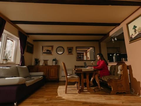 Vila Dunja 1 House in Zlatibor District, Serbia