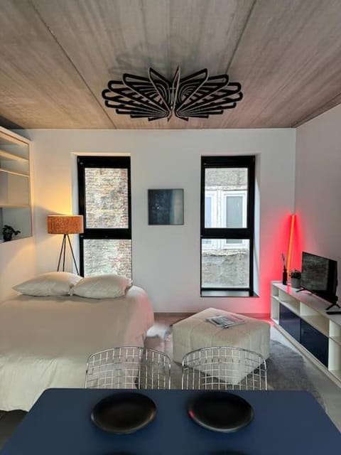 lOFT 202 Apartment in Liège