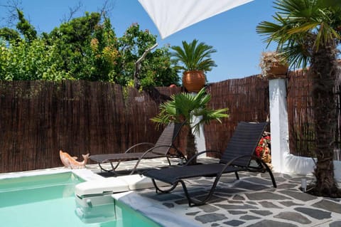 Patio, Spring, Day, Natural landscape, Garden, Garden, Garden view, Pool view, Swimming pool, sunbed