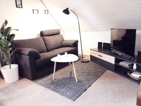 TV and multimedia, Living room, Seating area, Evening entertainment, heating, internet