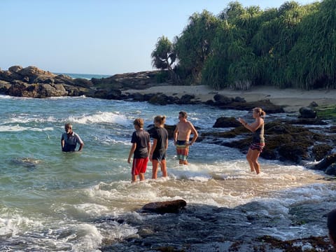 Day, People, Beach, children, group of guests