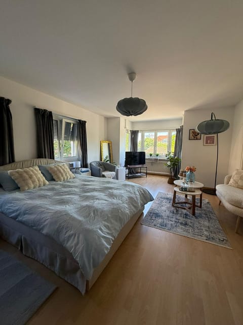 Bed, TV and multimedia, Living room, Photo of the whole room, Bedroom