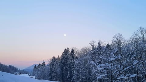 View (from property/room), Mountain view