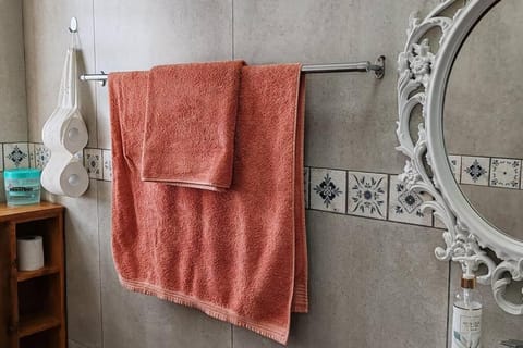 Alikreukel - Britannia Bay House in Western Cape