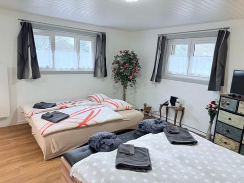 Secret Paradise Apartment in Fribourg, Switzerland