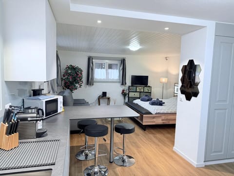 Secret Paradise Apartment in Fribourg, Switzerland