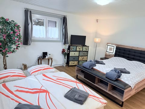 Secret Paradise Apartment in Fribourg, Switzerland