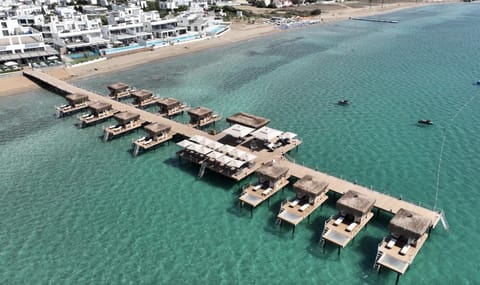 Beach, Sea view, sunbed