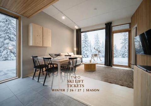 Winter, Skiing, Skiing, TV and multimedia, View (from property/room), Balcony/Terrace, Living room, Dining area, heating, internet