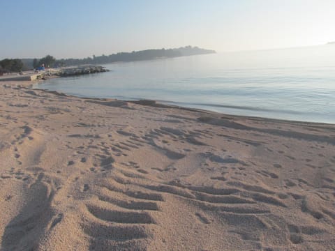 Neighbourhood, Natural landscape, Beach