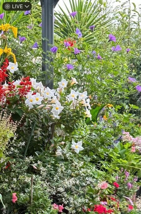 Natural landscape, Garden, Garden view