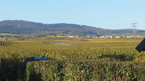 Natural landscape, Autumn, On site, Landmark view, Mountain view