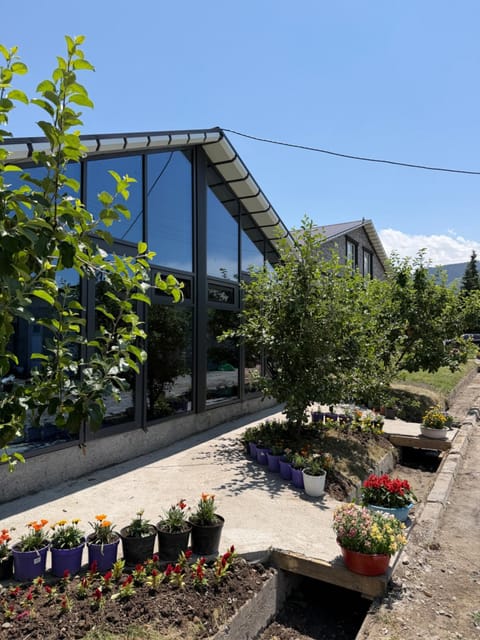Property building, Spring, Day, Garden, Garden view