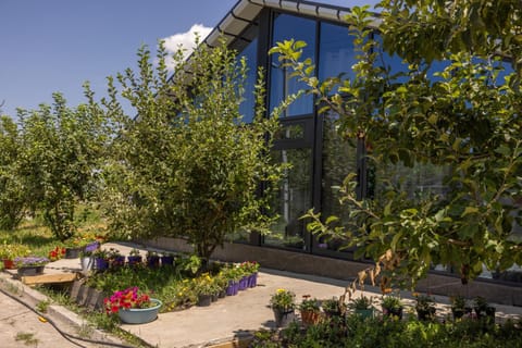 Property building, Spring, Natural landscape, Garden, Garden view