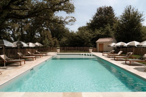 Garden, Swimming pool, sunbed
