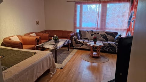 Kodikas koti Apartment in Finland
