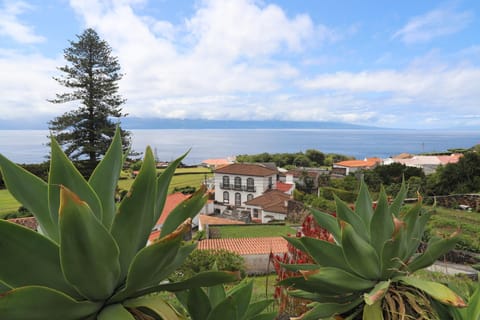 Natural landscape, Sea view