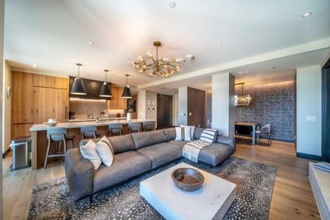 One Snowmass East 303 by Snowmass Mountain Lodging Apartment in Snowmass Village