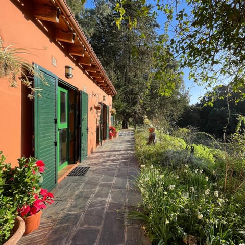 Property building, Day, Garden