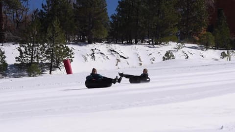 Cocos Cottage Getaway Running Springs House in Running Springs