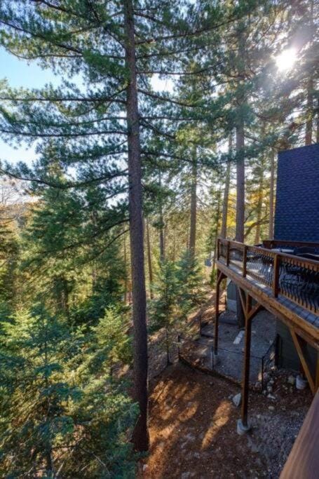 The Muddy Moose- Spacious Family Getaway House in Southern California