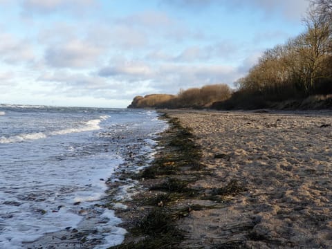 Seesternchen Apartment in Ostholstein