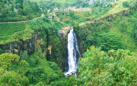 Natural landscape