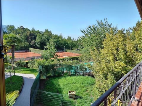 Garden, Tennis court, Garden view