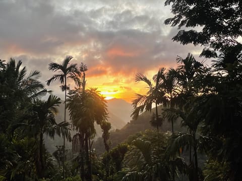 Spring, Day, Natural landscape, Mountain view, Sunrise
