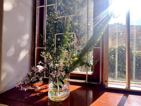 Decorative detail, Garden view