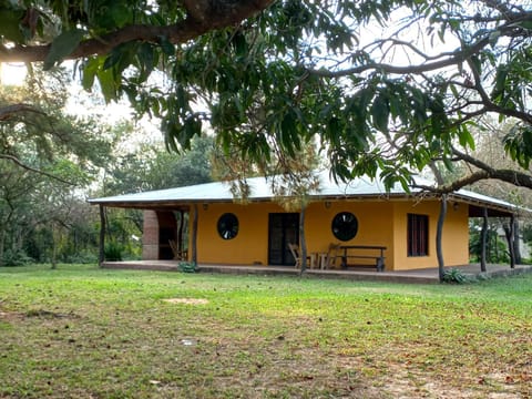Property building, Garden, Garden view
