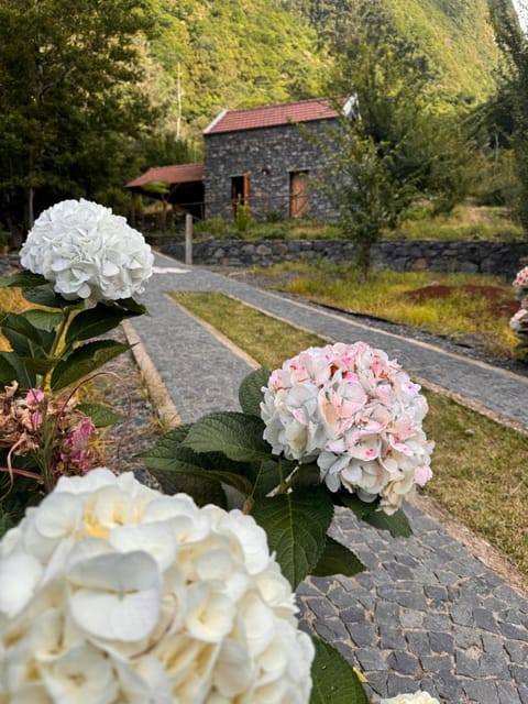 Property building, Natural landscape, Garden, Garden