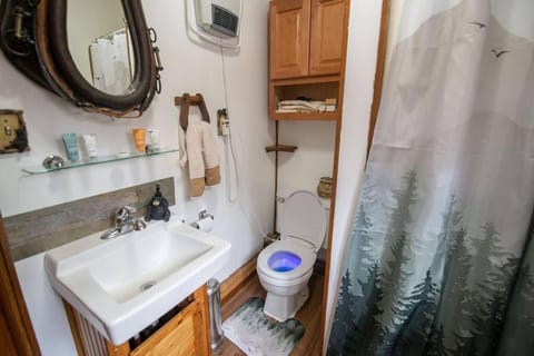 Black bear cabin with blow up hot tub Cabin in Castle Rock Lake