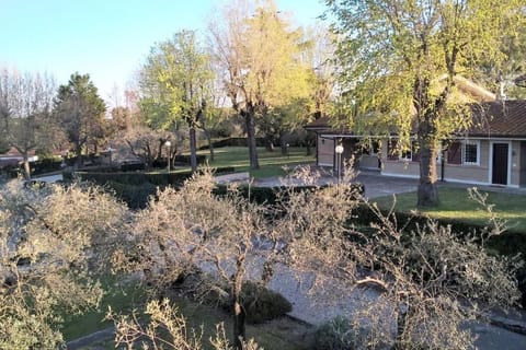 Natural landscape, Garden view