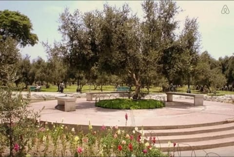 Day, Garden