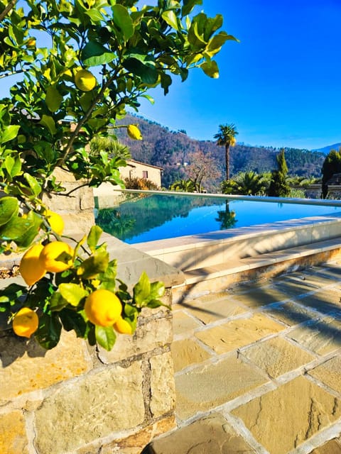 Spring, Natural landscape, Mountain view, Pool view, Swimming pool