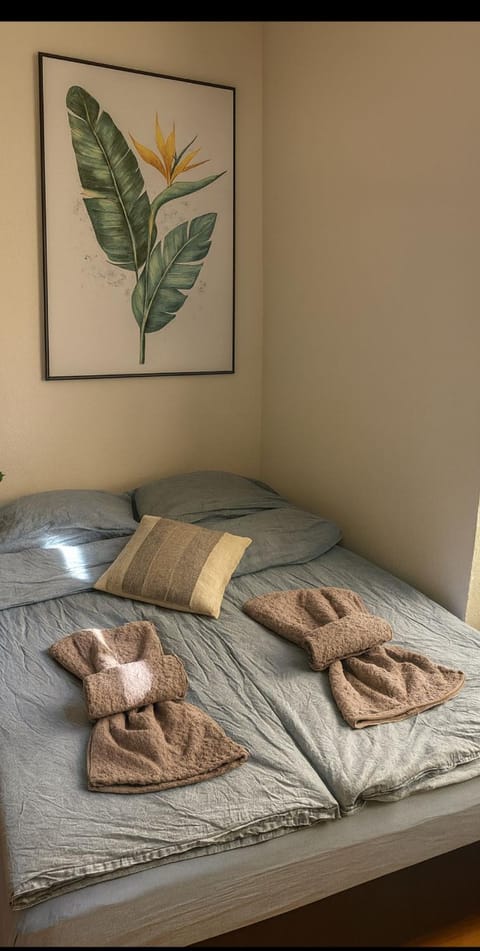 Zentral und komfortabel an der Kathedrale Apartment in Fribourg