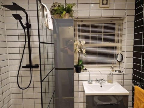 Trinity Cottage 2 bed with mezzanine Apartment in Dublin