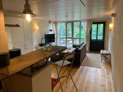 TV and multimedia, Kitchen or kitchenette, Living room, Seating area, Dining area