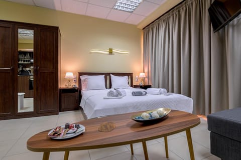 Bed, TV and multimedia, Living room, Photo of the whole room, Seating area, Bedroom, wardrobe