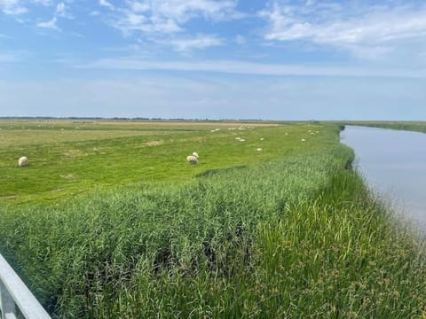 Deichbrise House in Nordfriesland