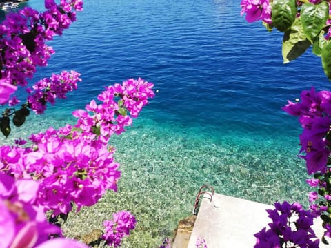 Marula Apartment Apartment in Račišće