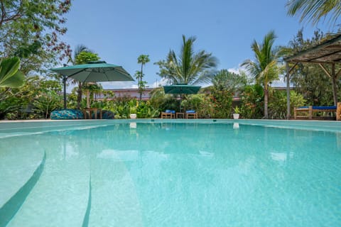 Garden, Swimming pool