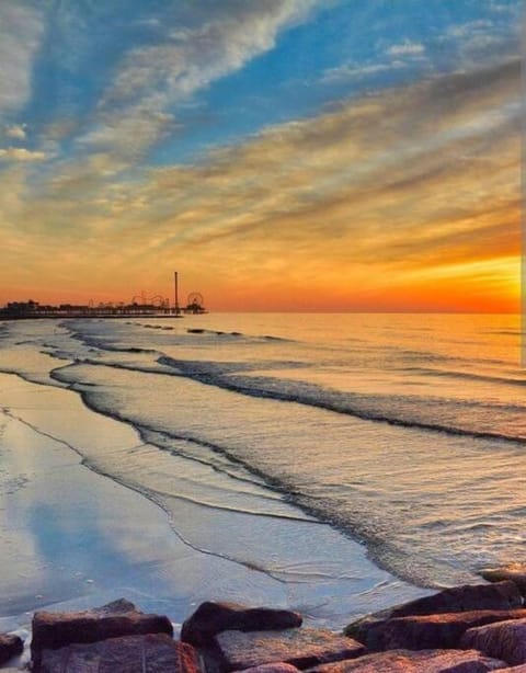 The Blue Herron 1868 Historic District Cottage House in Texas City