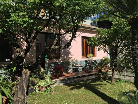 Patio, Day