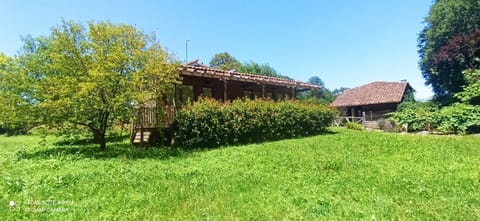 Property building, Spring, Day, Natural landscape, Garden, Garden view